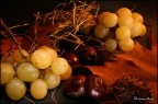 Composizione d'autunno #1 Composizione d'autunno #1