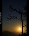 Alba serlese Alba serlese
