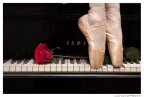 danzando sulle note dell'amore danzando sulle note dell'amore