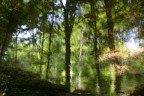 Impressionismo naturale Impressionismo naturale