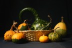 Natura zucca Natura zucca