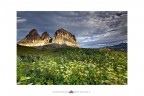 Sella Silence Sella Silence