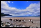 Cavalli sulla spiaggia Cavalli sulla spiaggia