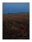 .../... .../...