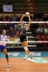 Volley: in palleggio