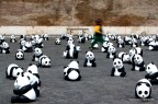 WWF... salviamo i panda, Roma, 2009
