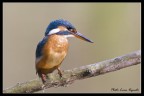 martina pescatrice martina pescatrice
