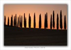 in fila per l'alba in fila per l'alba