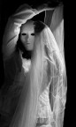 (5 di 7 project: THE PHANTOM BRIDE)