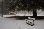 Giardini sotto neve Giardini sotto neve