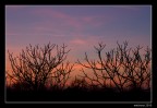 tramonto... tramonto...