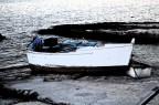 barca a riva barca a riva