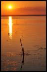 scende il sole sulle rive del lago trasimeno (pg)