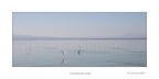 Trasimeno Trasimeno