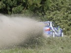 Un po' di sassi non fanno male! Un po' di sassi non fanno male!