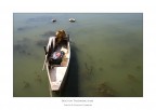 Trasimeno Trasimeno