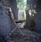 Mamiya C33 3.5/65
Fuji Reala 100