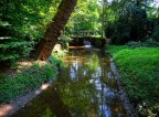 torrente torrente