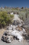 mono lake mono lake