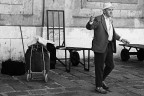Maestro Maestro