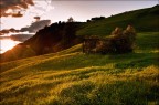 Luce dell' ovest...a nordest! Luce dell' ovest...a nordest!