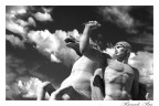 Cavaliere Cavaliere