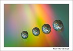 Four colored drops