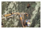 lambretta