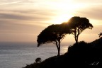 Tramonto dall'isola d'elba Tramonto dall'isola d'elba