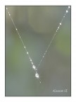 jewel jewel