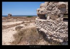 bagnara bagnara