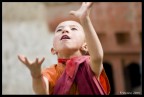 Ladakh4 Ladakh4