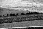 Campagne con ciclista Campagne con ciclista