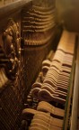 Into the music Into the music
