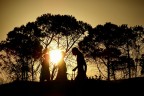 silhouette silhouette