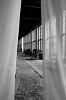 velo di seta velo di seta