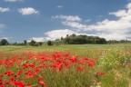 Paesaggio senese Paesaggio senese