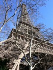 paris paris
