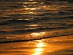Gold Beach Gold Beach