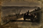 :: Il ritorno :: :: Il ritorno ::