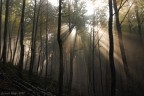 Raggi di sole Raggi di sole