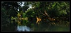 Rio Macaguanė Rio Macaguanė