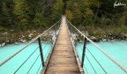 Ponte Ponte