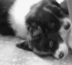 Canon 350D
1/25 sec.
F/5
Iso 200