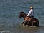 al mare al mare