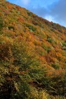 Autunno Autunno