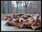 Autunno Autunno