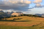 Oasi di pace Oasi di pace