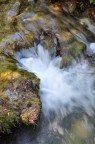 ACQUA ACQUA