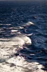 Mare Mare
